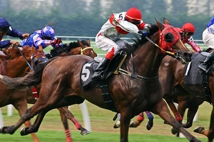 Horse Racing Melbourne