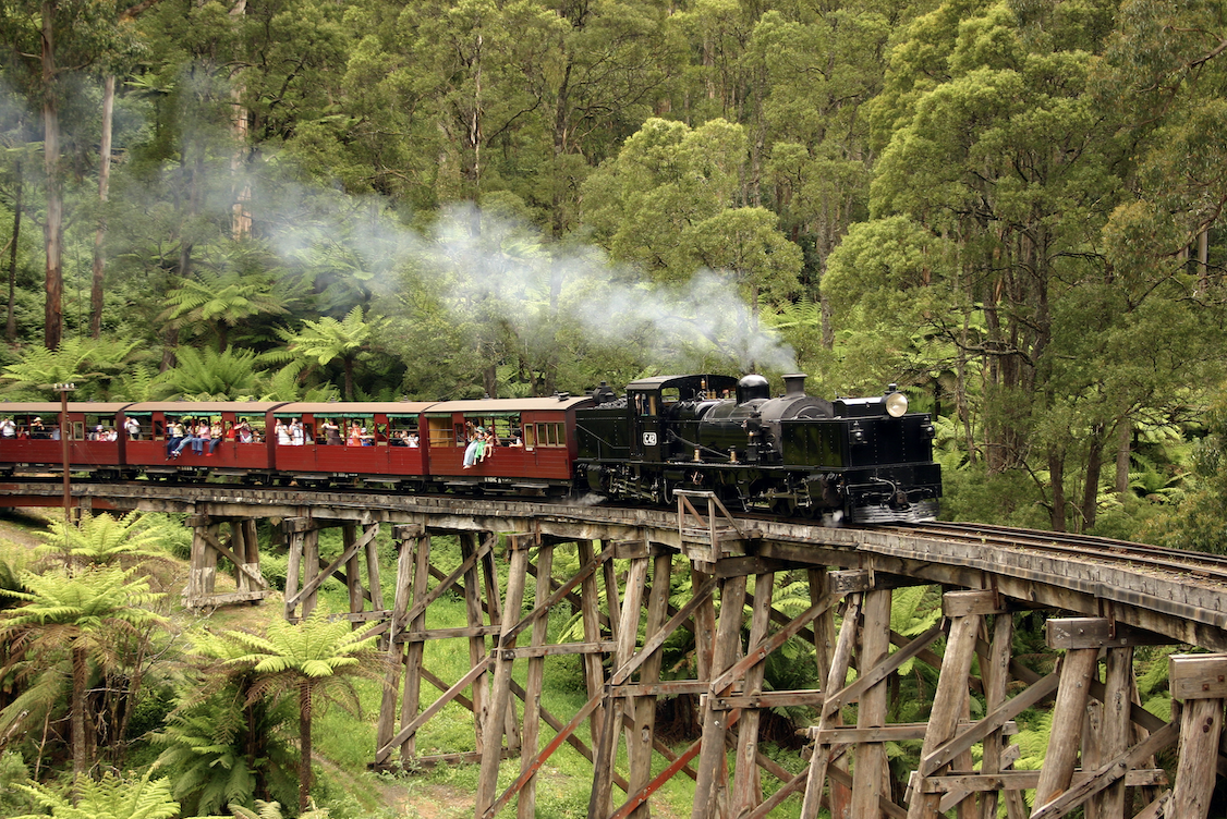 Puffing billy traveling through the Dandenong Ranges.